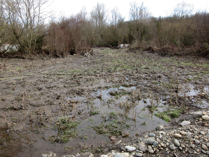 Vous les voyez vous les salades ?