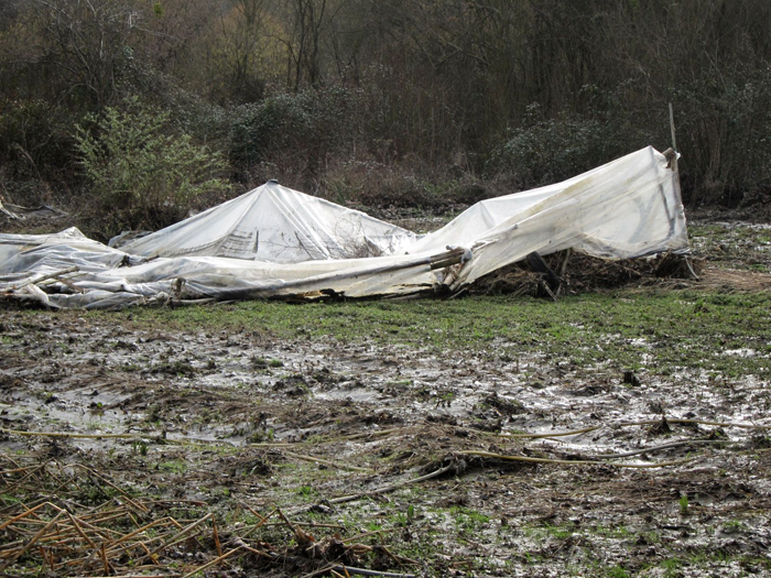 Alors là y'avait une serre...
