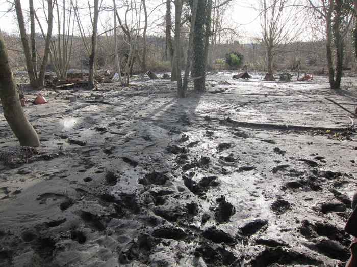 Des champs, où ça des champs ?