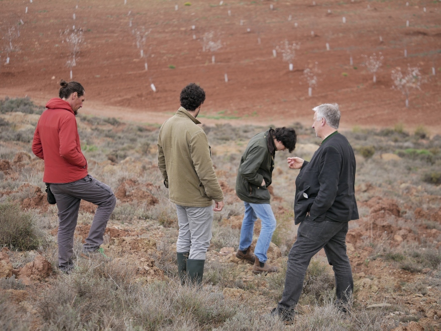 Varias personas inspeccionando el campo de cultivo regenerativo