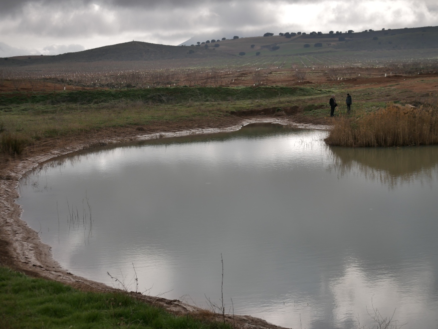 Un lago en un campo de cultivo regenerativo con hierbas