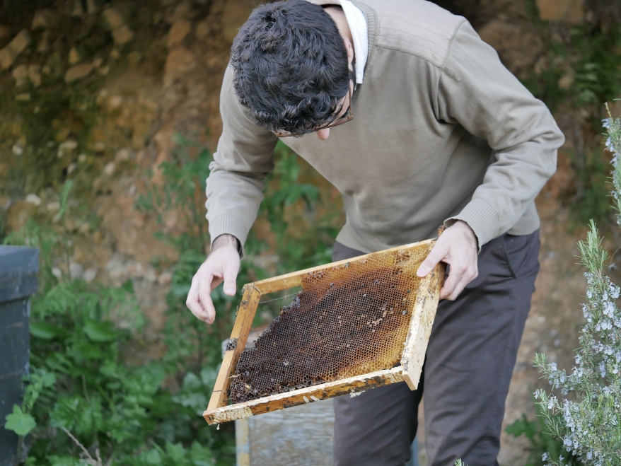 Apiculteur qui r&eacute;colte le miel sur la ruche d'abeille