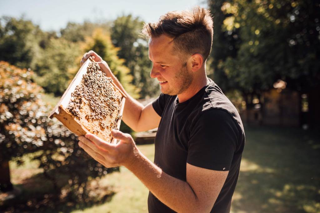 Ein Landwirt, der eine Bienenbrut in den Händen hält