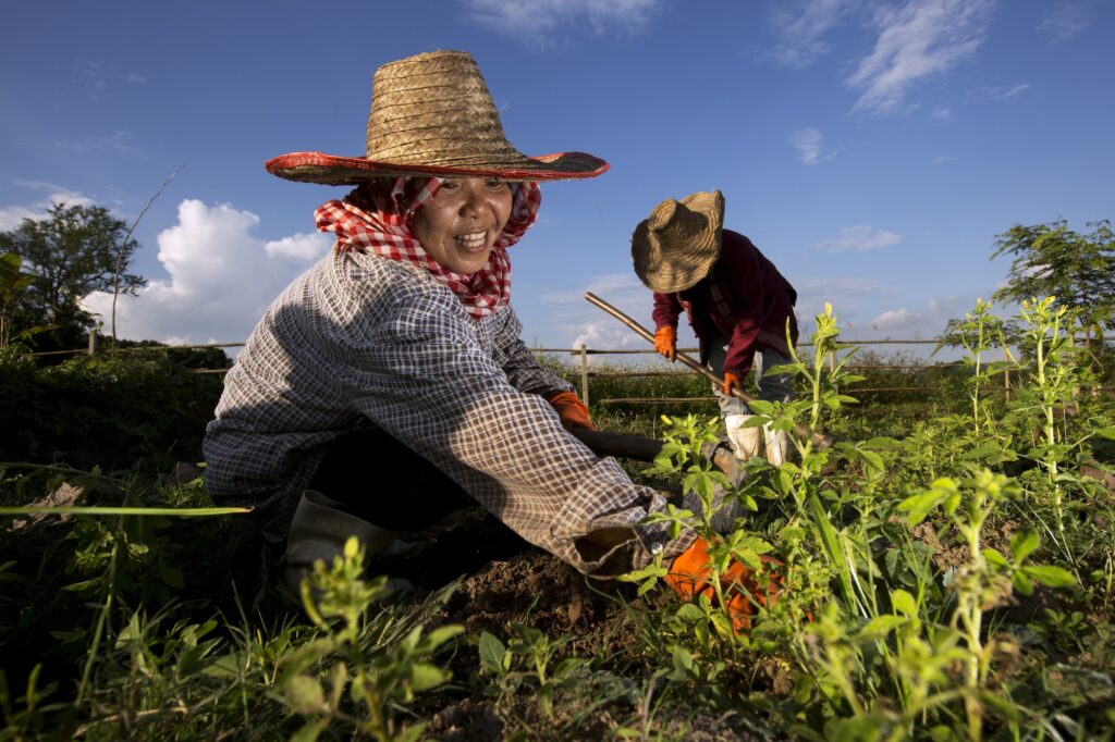 Pur Projet est né sous l’impulsion de Tristan Lecomte, fondateur d’Alter Eco, entreprise pionnière du commerce équitable. Aujourd’hui, le réseau est composé de 50 organisations soit plus de 150 000 planteurs répartis dans 30 pays du Sud. © Christian Lamontagne / Pur Projet