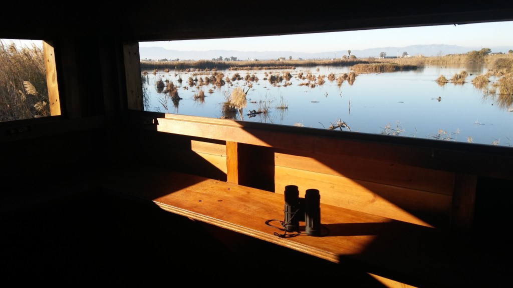 Observatoire d'oiseaux migrateurs dans la ferme de Riet Vell en Espagne