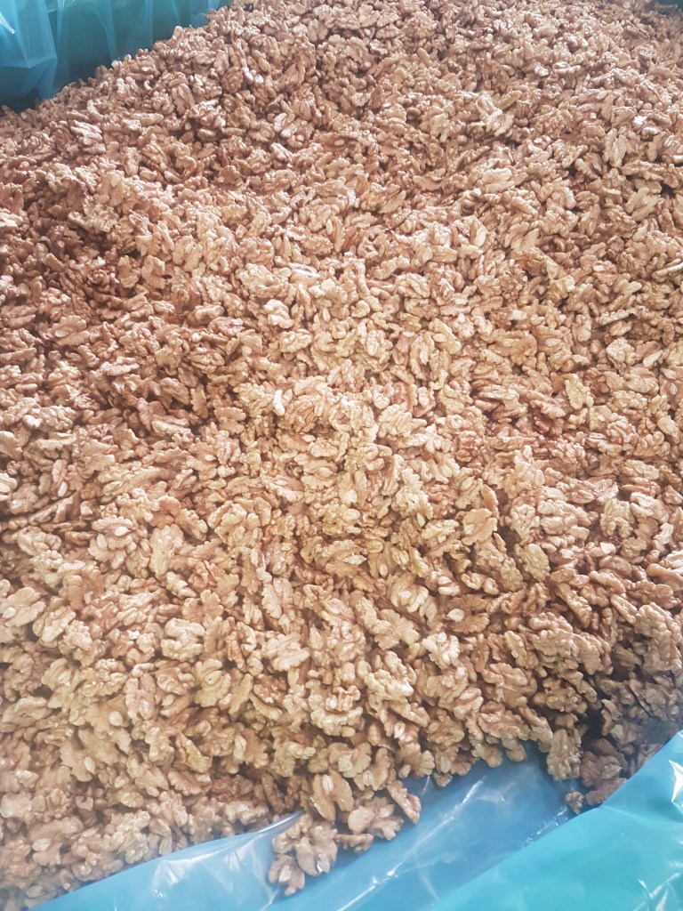 Gesch&auml;lte Waln&uuml;sse