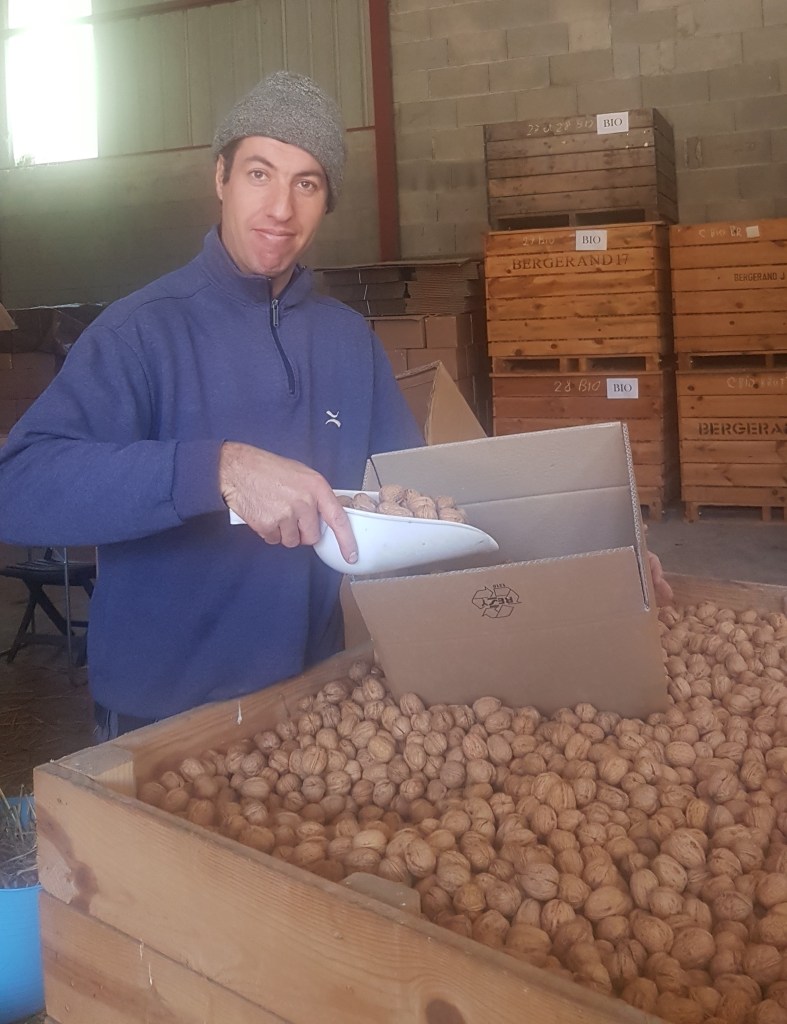 L'agriculteur Sylvain Bergerand qui met les noix dans un carton