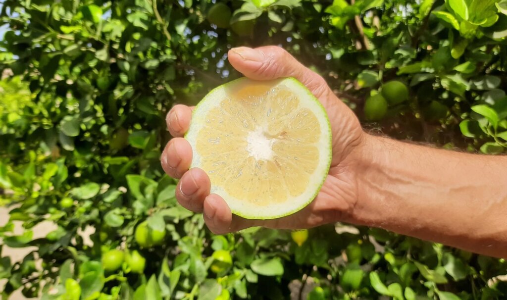 This image has an empty alt attribute; its file name is 20210823_114953-1-1024x606.jpg