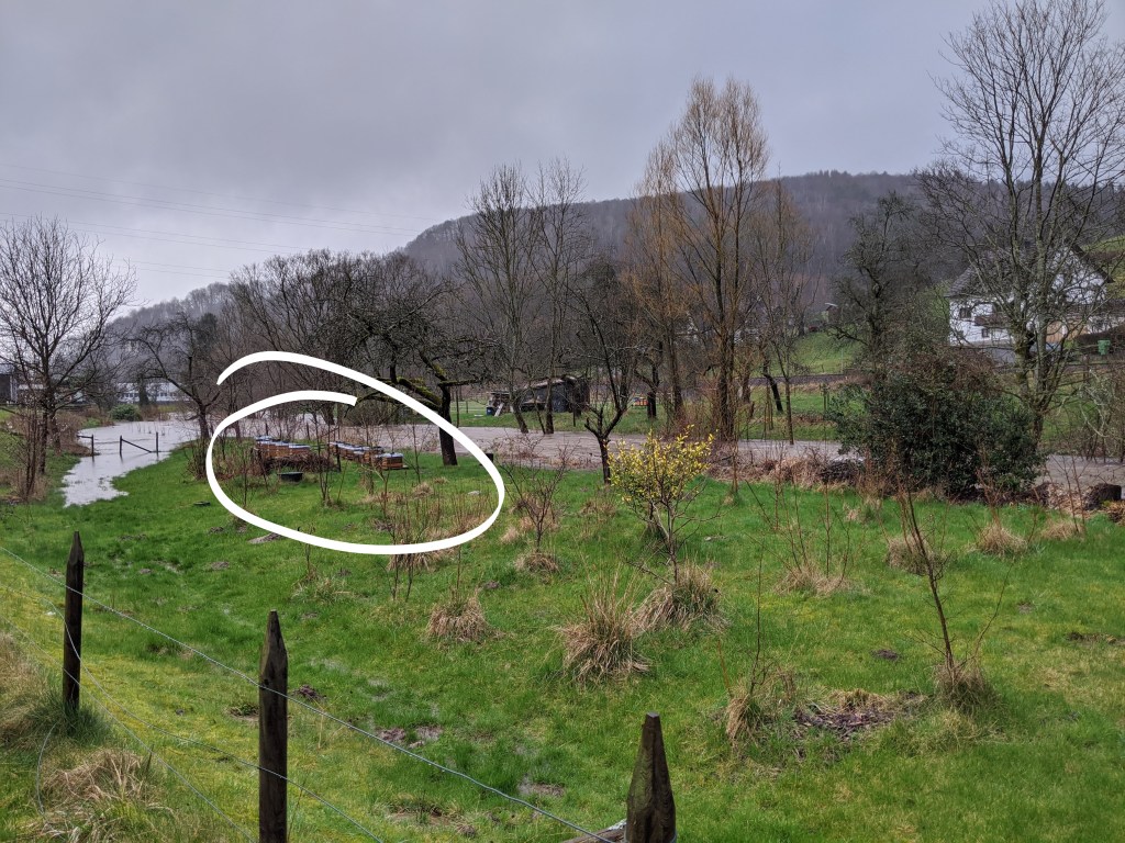 Ein Feld mit Bienenstöcken und einem Fluss