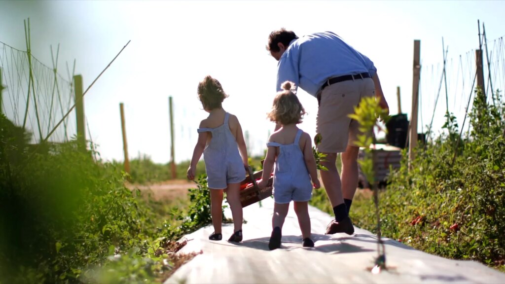 sostenibilidad en campo de tomates