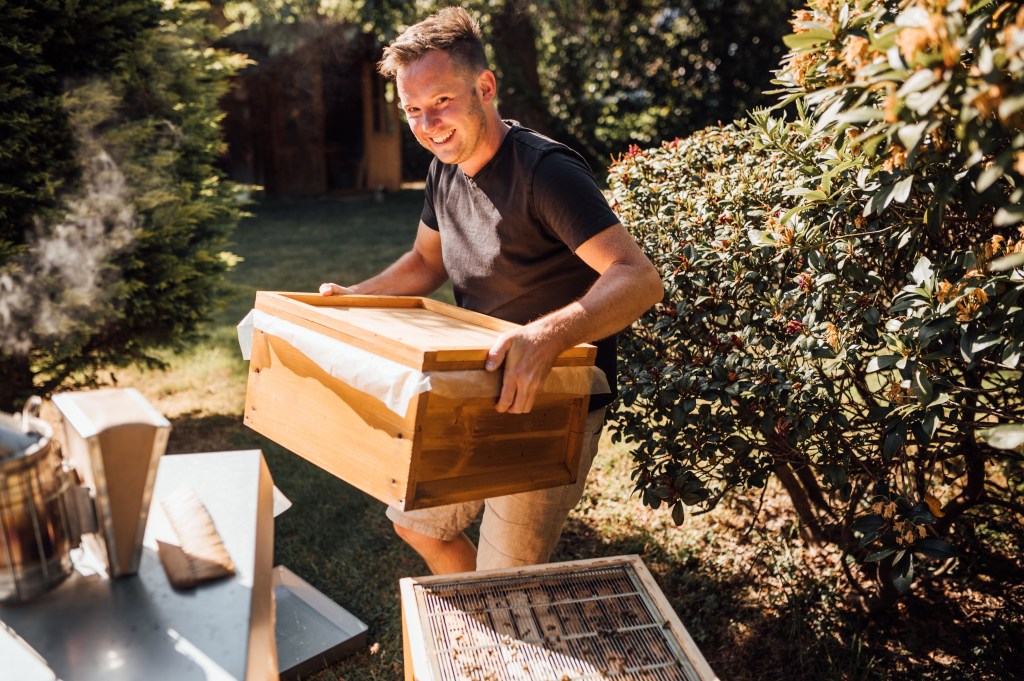 Ein Landwirt, der eine Honigwabe hält