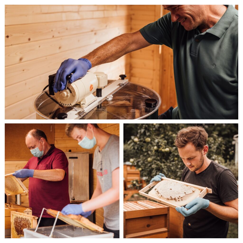 Ein Landwirt, der eine Bienenbrut in den Händen hält