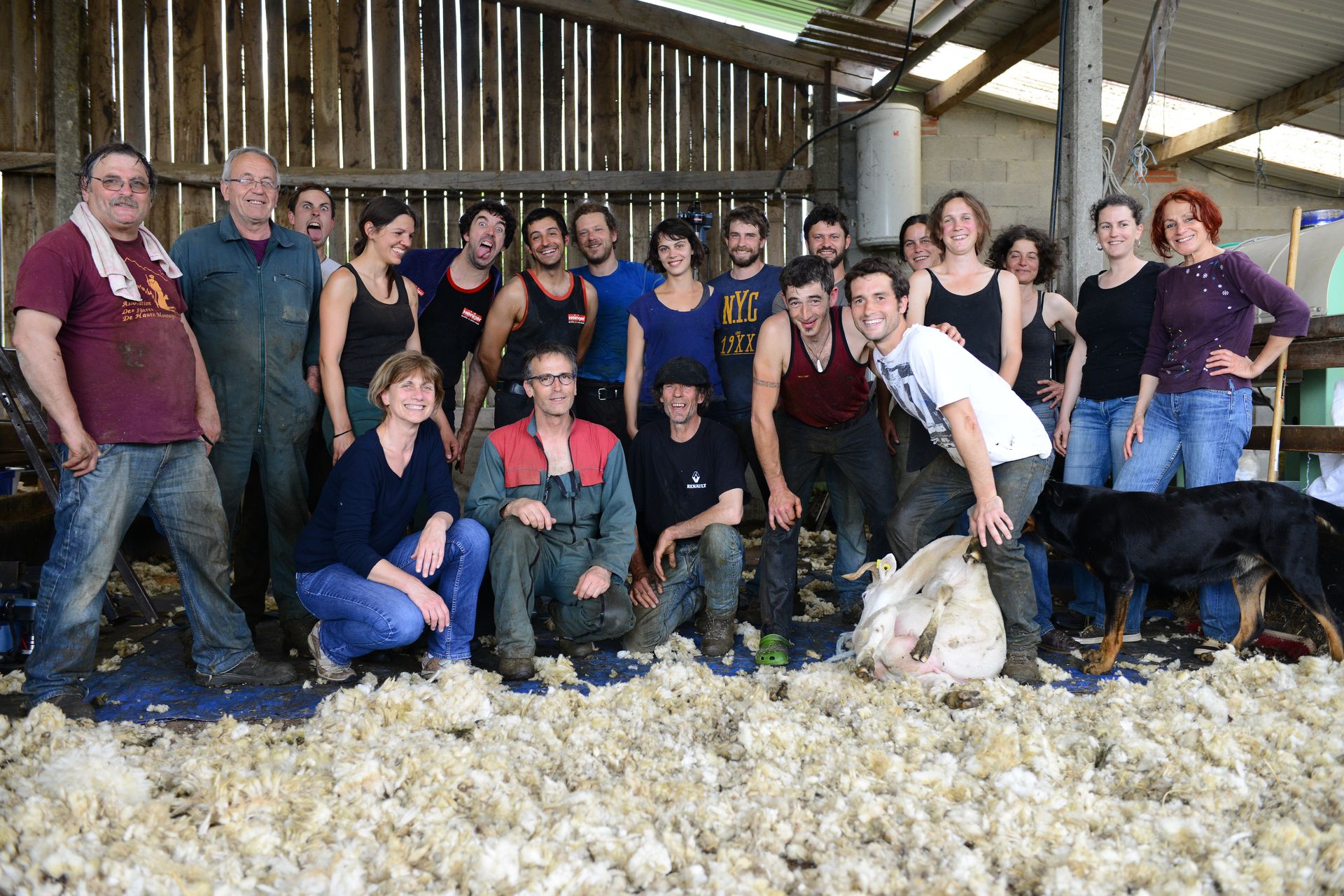 L'&eacute;quipe de choc.