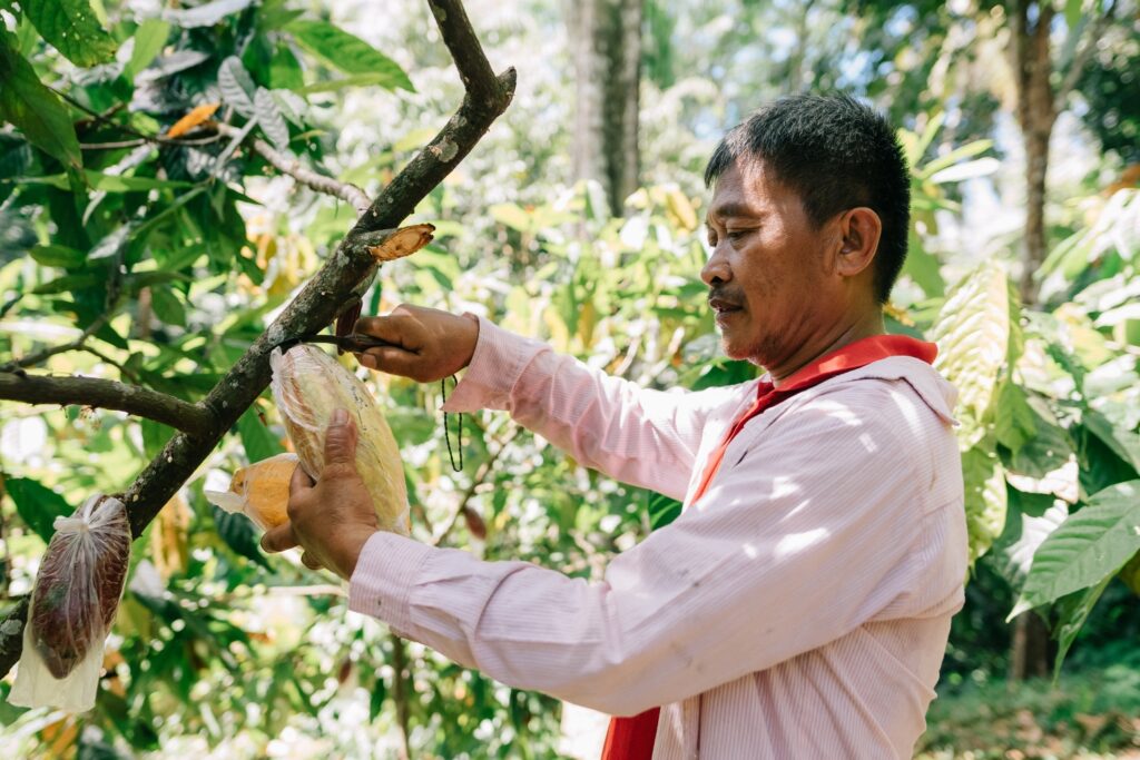 This image has an empty alt attribute; its file name is Copia-de-5-Farmer-at-Work_2-1-1024x683.jpg