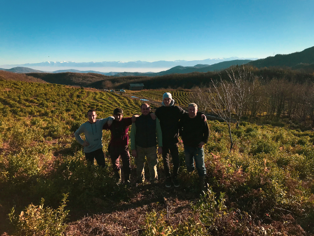 Members of the Renegade Tea team