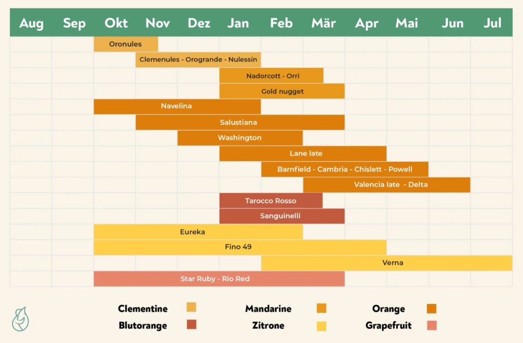 CrowdFarming Zitrusfr&uuml;chte