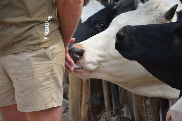 Oui Le Blog, https://magazine.laruchequiditoui.fr