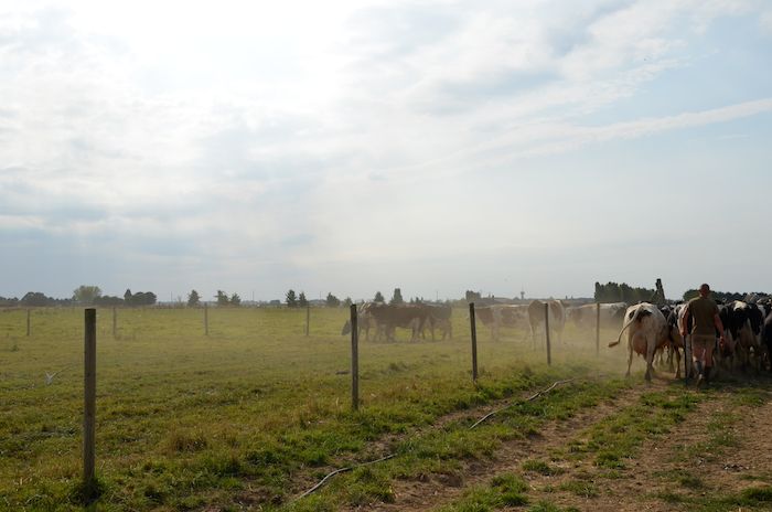 Oui Le Blog, https://magazine.laruchequiditoui.fr