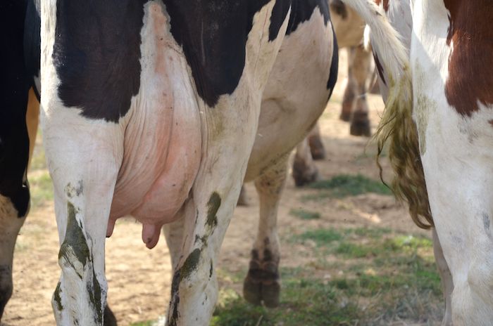 Oui Le Blog, https://magazine.laruchequiditoui.fr