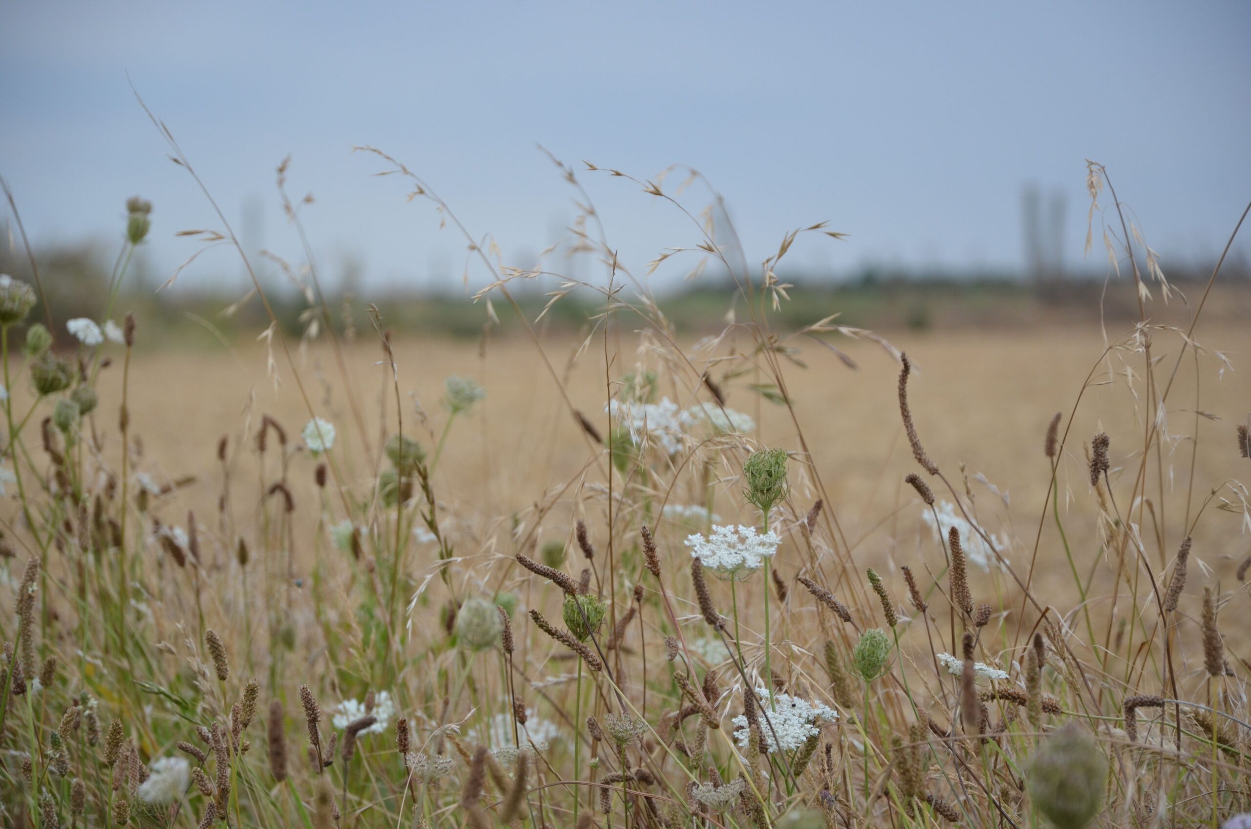Oui Le Blog, https://magazine.laruchequiditoui.fr