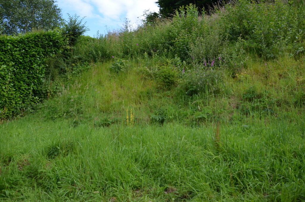 Le terrain avant Fleur...