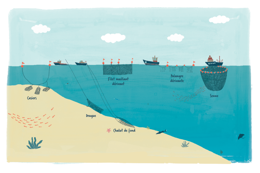 Quelques engins de p&ecirc;che