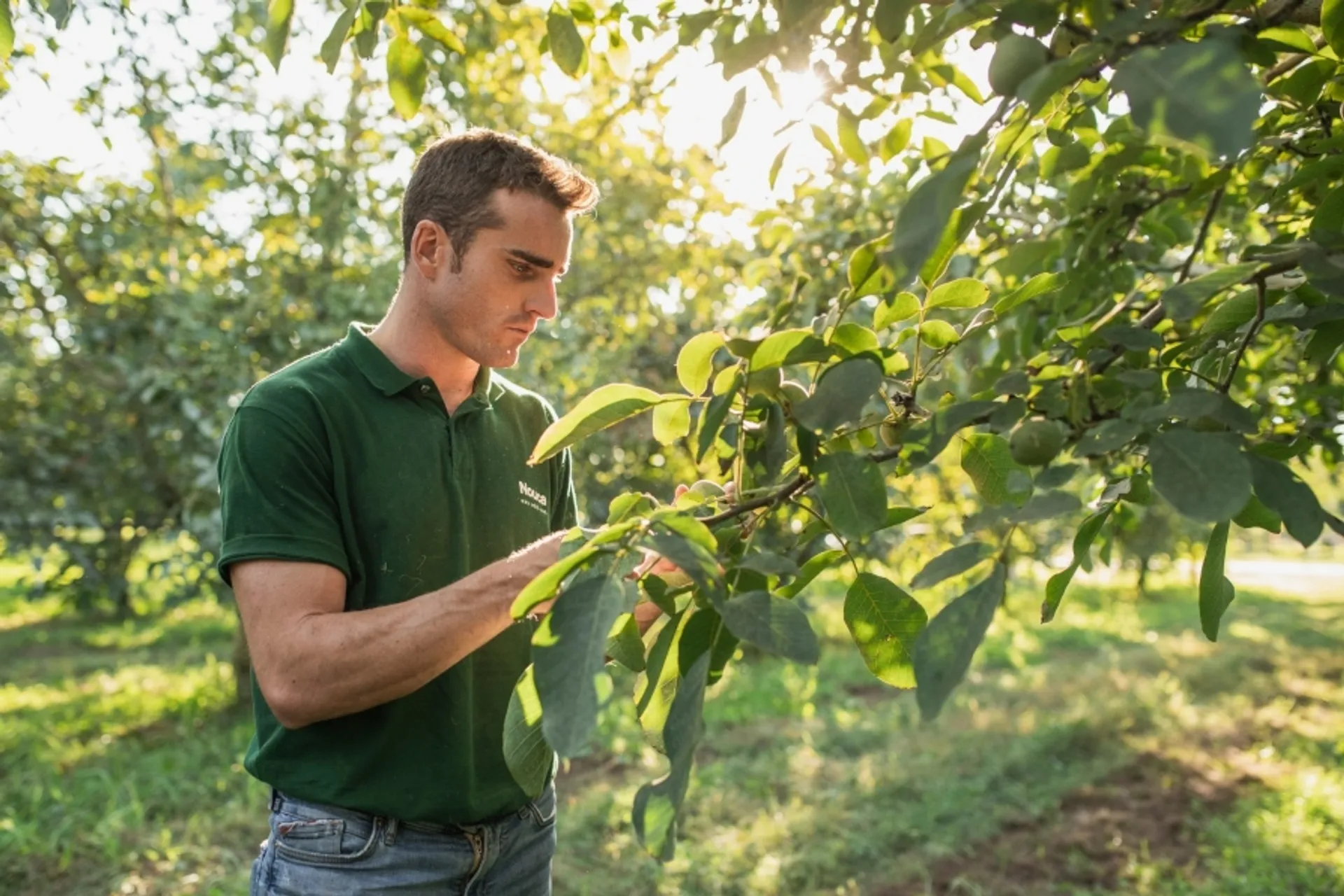 La imagen tiene un atributo ALT vacío; su nombre de archivo es Farmer-con-UP-2-1.jpg