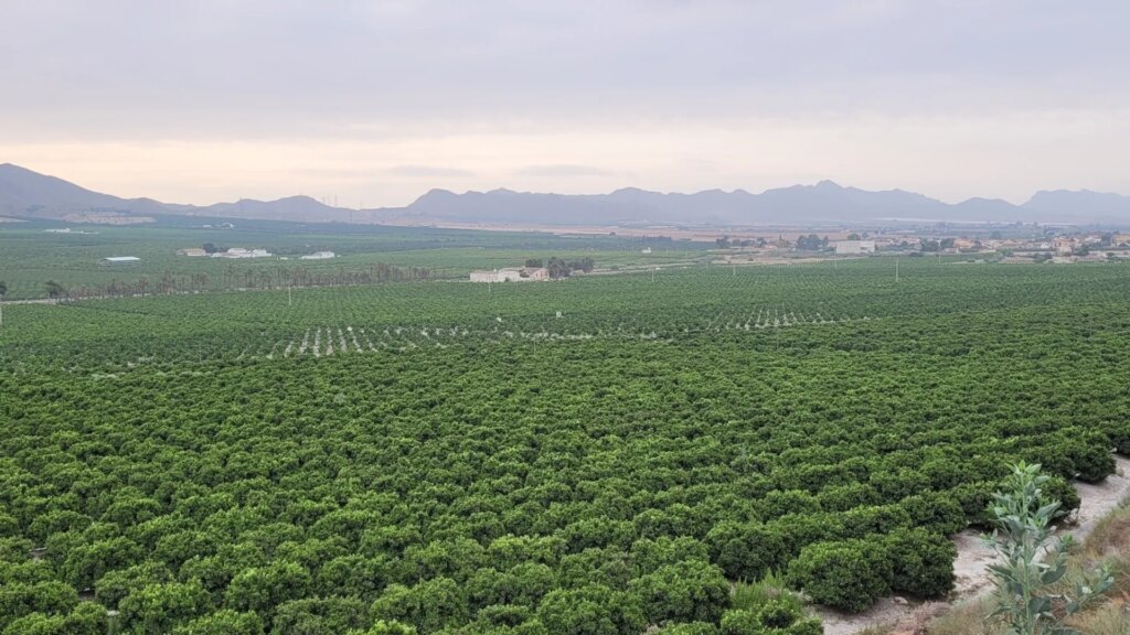 La imagen tiene un atributo ALT vac&iacute;o; su nombre de archivo es Finca-Dona-Ana-Vistas-1-1024x576.jpg