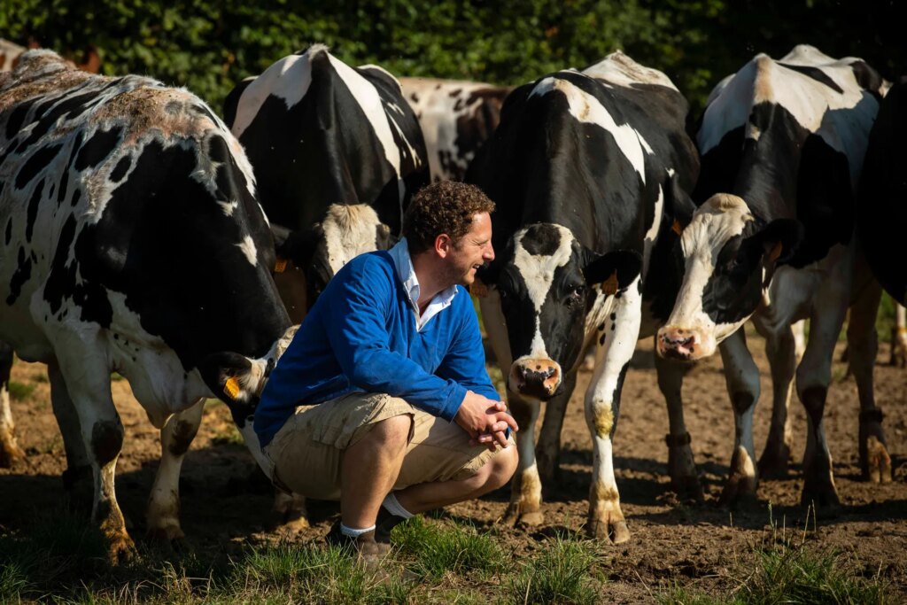 Camembert Les 5 frères Crowdfarming