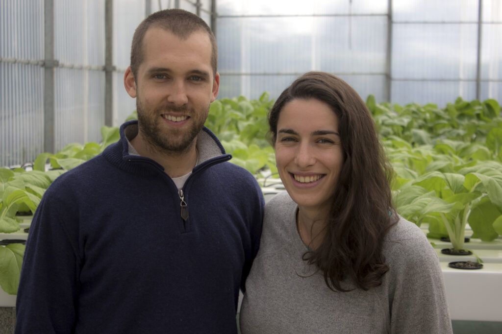 Leur serre s'étend sur 650 m2 et permet de dégager deux salaires (au SMIC).