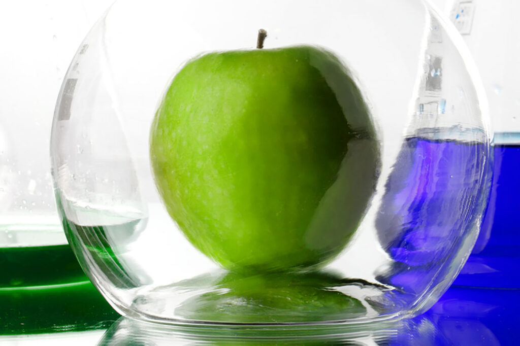 LaColmenaQueDiceSi_transgenicos