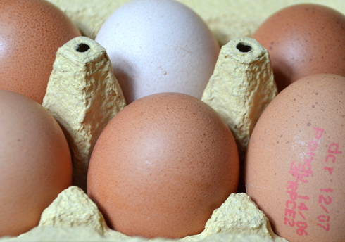 La vérité sur les oeufs de nos villages