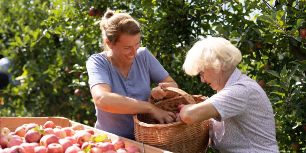 Dieses Bild hat ein leeres Alt-Attribut. Der Dateiname ist Post-Adoptions-2-1024x512.jpg