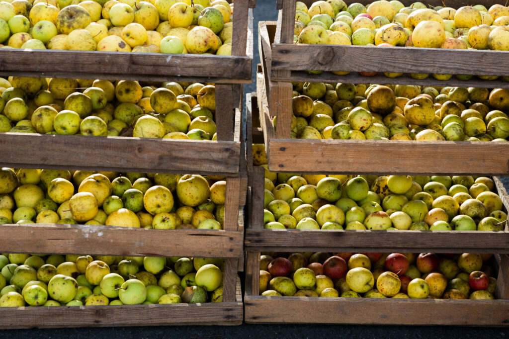 &copy; Thomas Louapre 