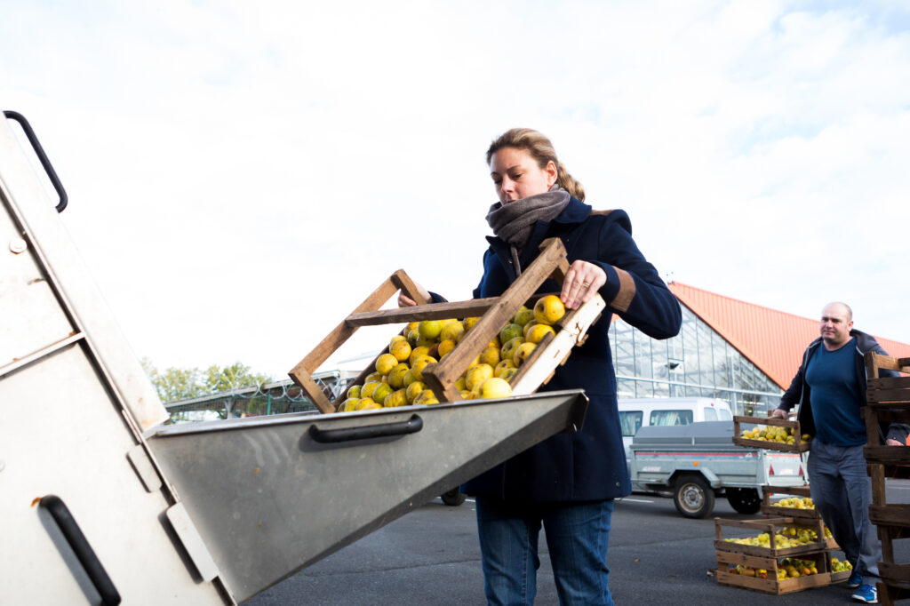 &copy; Thomas Louapre 