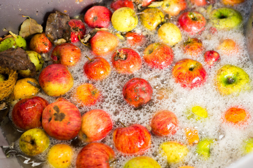 &copy; Thomas Louapre 