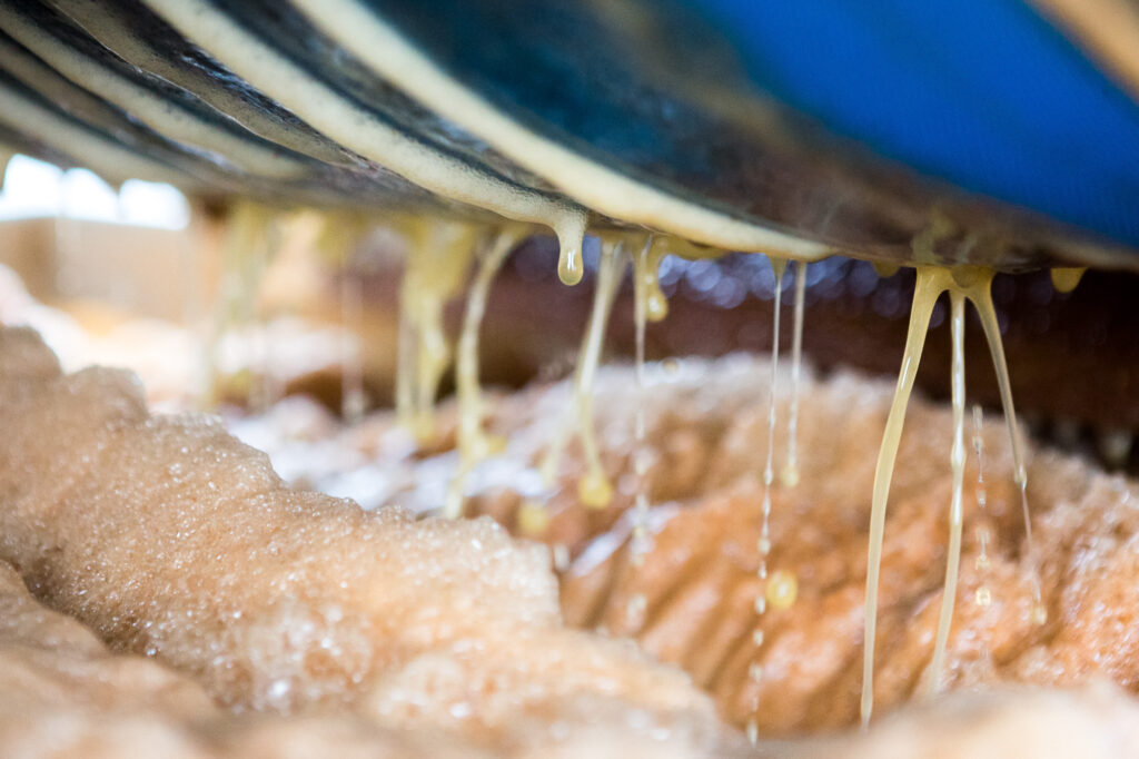 &copy; Thomas Louapre 