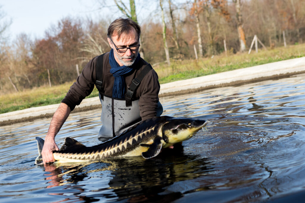 Laurent Deverlanges, passionn&eacute; de poissons. &copy;Thomas Louapre