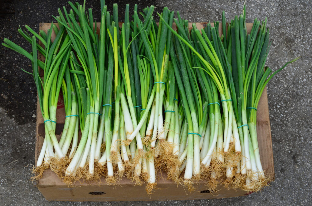 ThinkstockPhotos-465069072