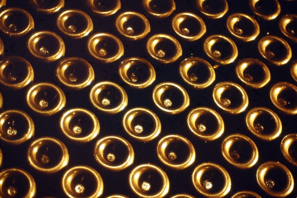 ThinkstockPhotos-469795428