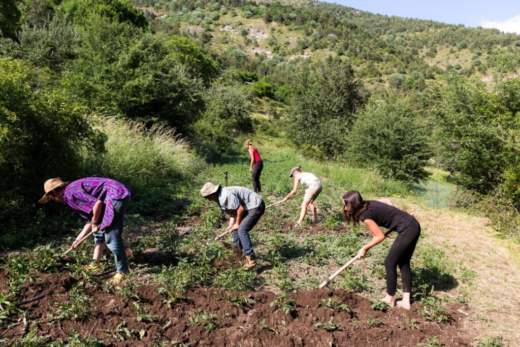 agroecologia in fattoria