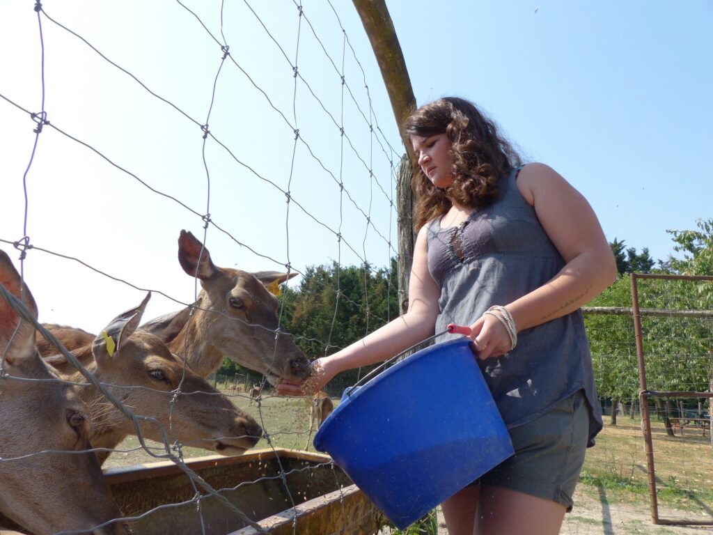 Avec l'orge, biches jamais rassasiées. Avec l'orge, les biches ne sont jamais rassasiées.
