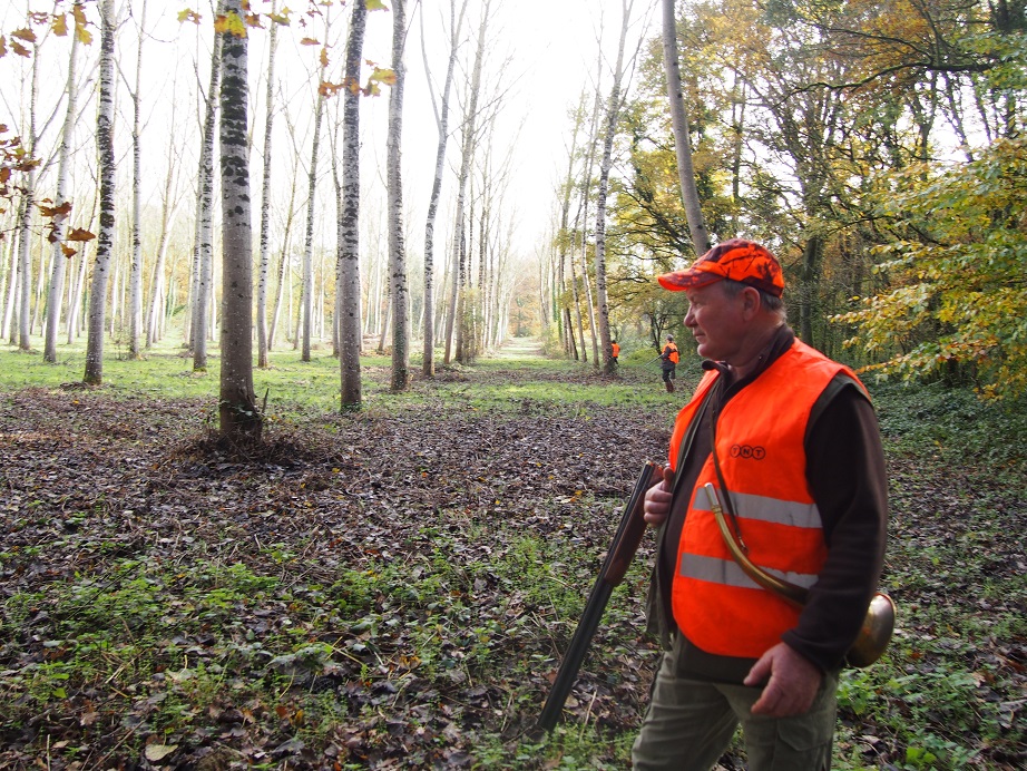 Une ligne, pendant une battue.