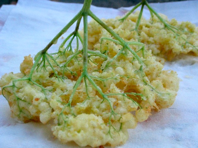 Les fleurs de sureau en beignets, vous connaissez ?
