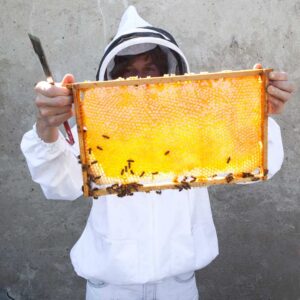 Stadtimkerin Erika Mayr