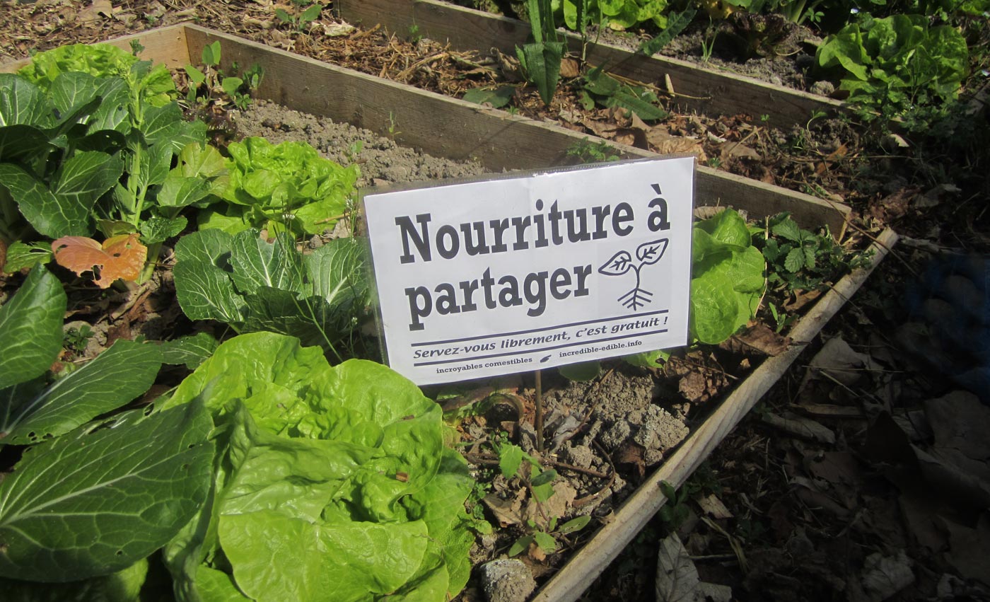 c401_incredible_edible_todmorden_france_bretagne_finistere_pluguffan_incroyables_comestibles_w1400