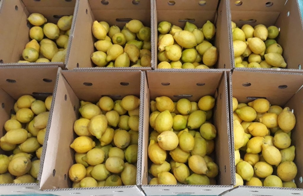 Des citrons dans des caisses en carton