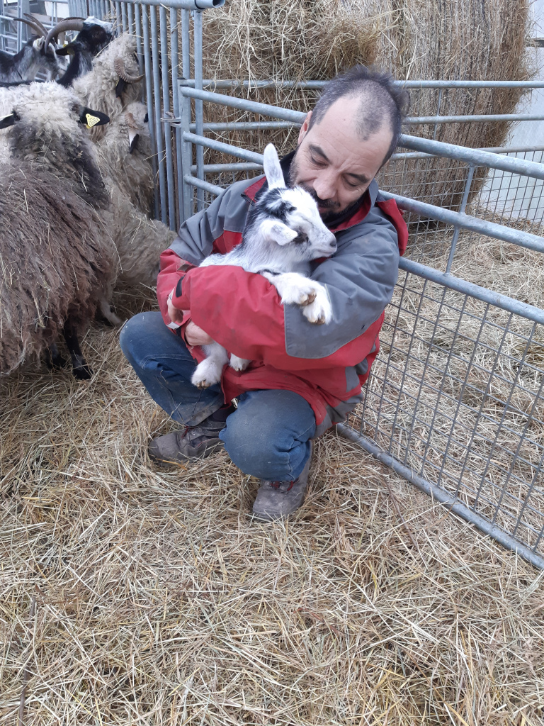 Ein Mann, der ein Zicklein in den Armen hält