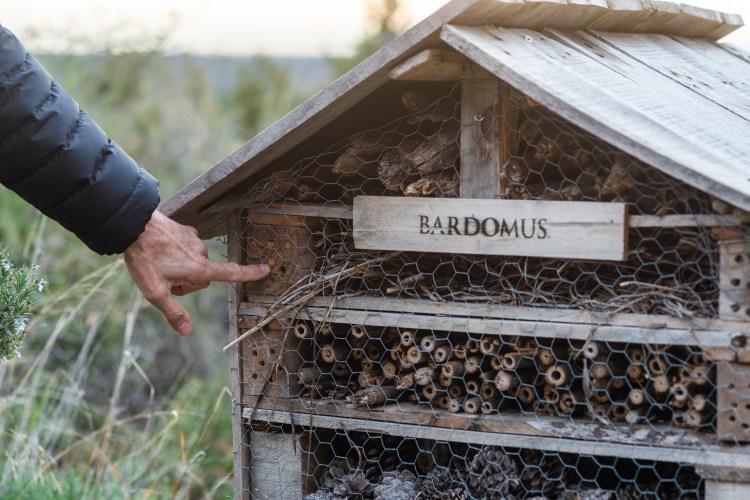 Hotel &agrave; insectes dans la ferme d'olive de Bardomus