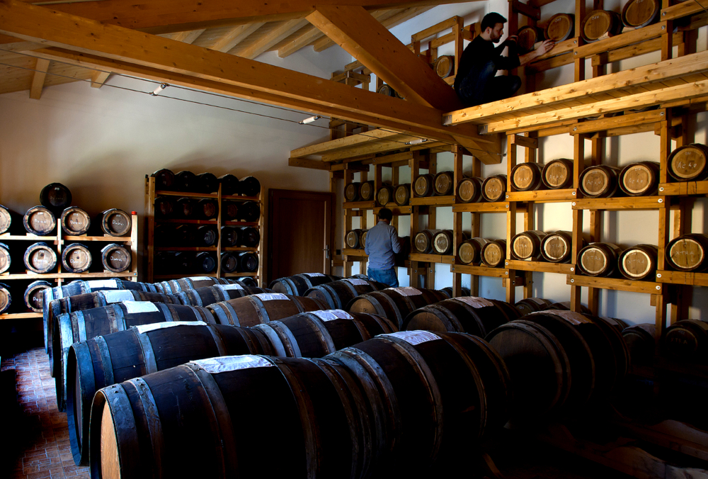 A cellar with wooden barrels